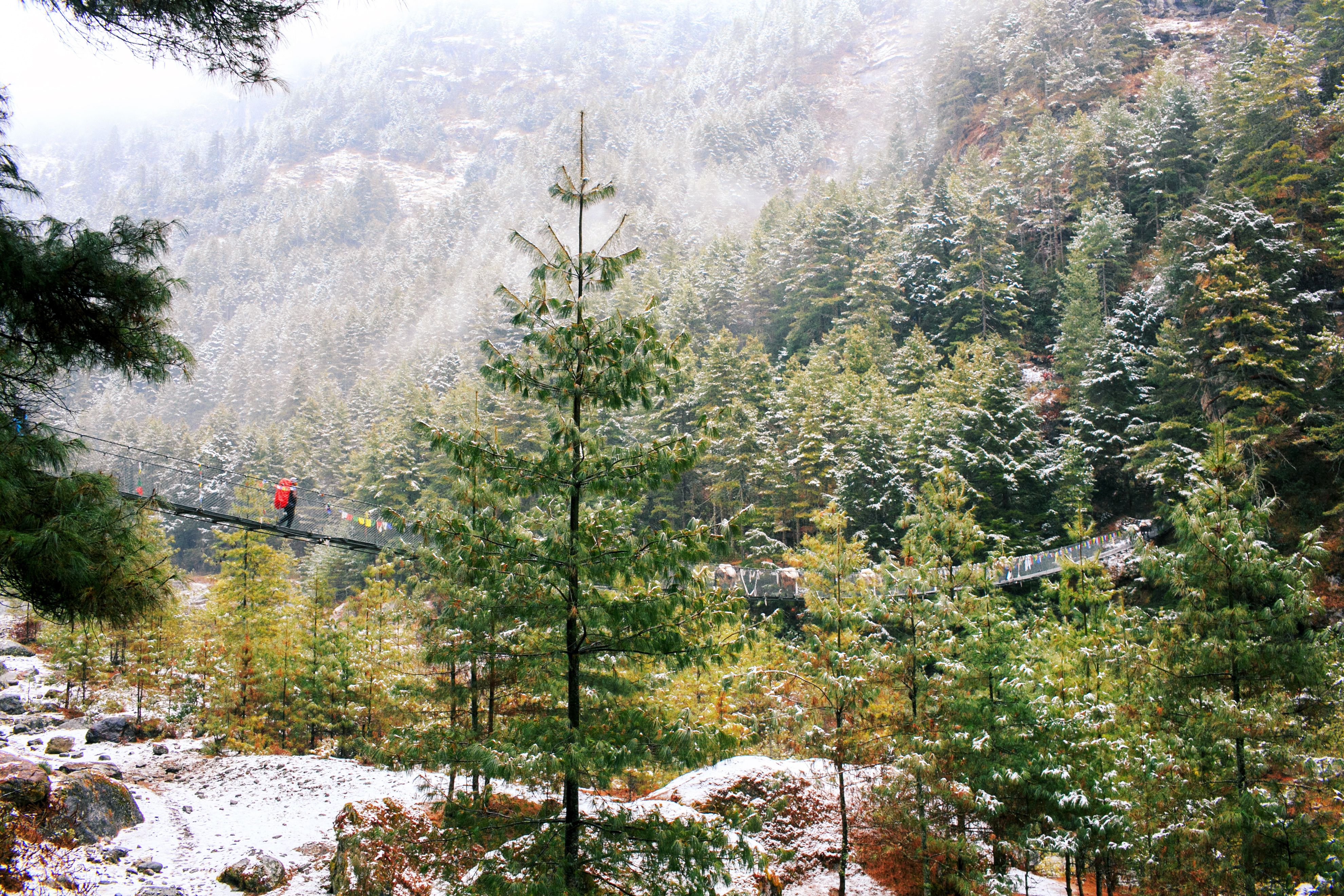 Himachal Pradesh gallery 4