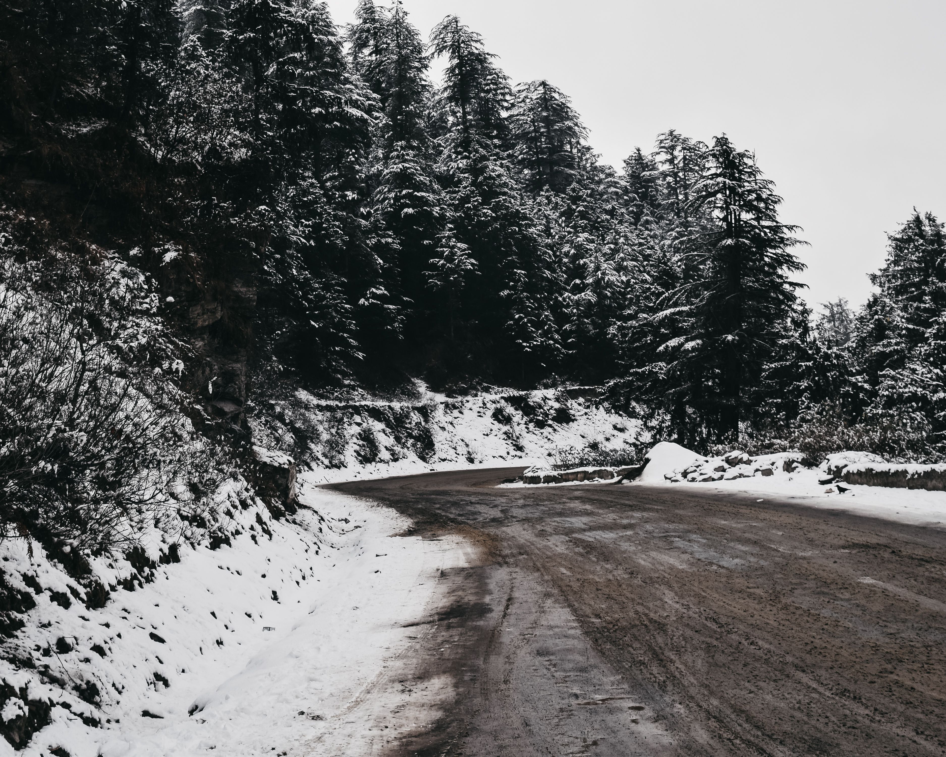 Himachal Pradesh gallery 3