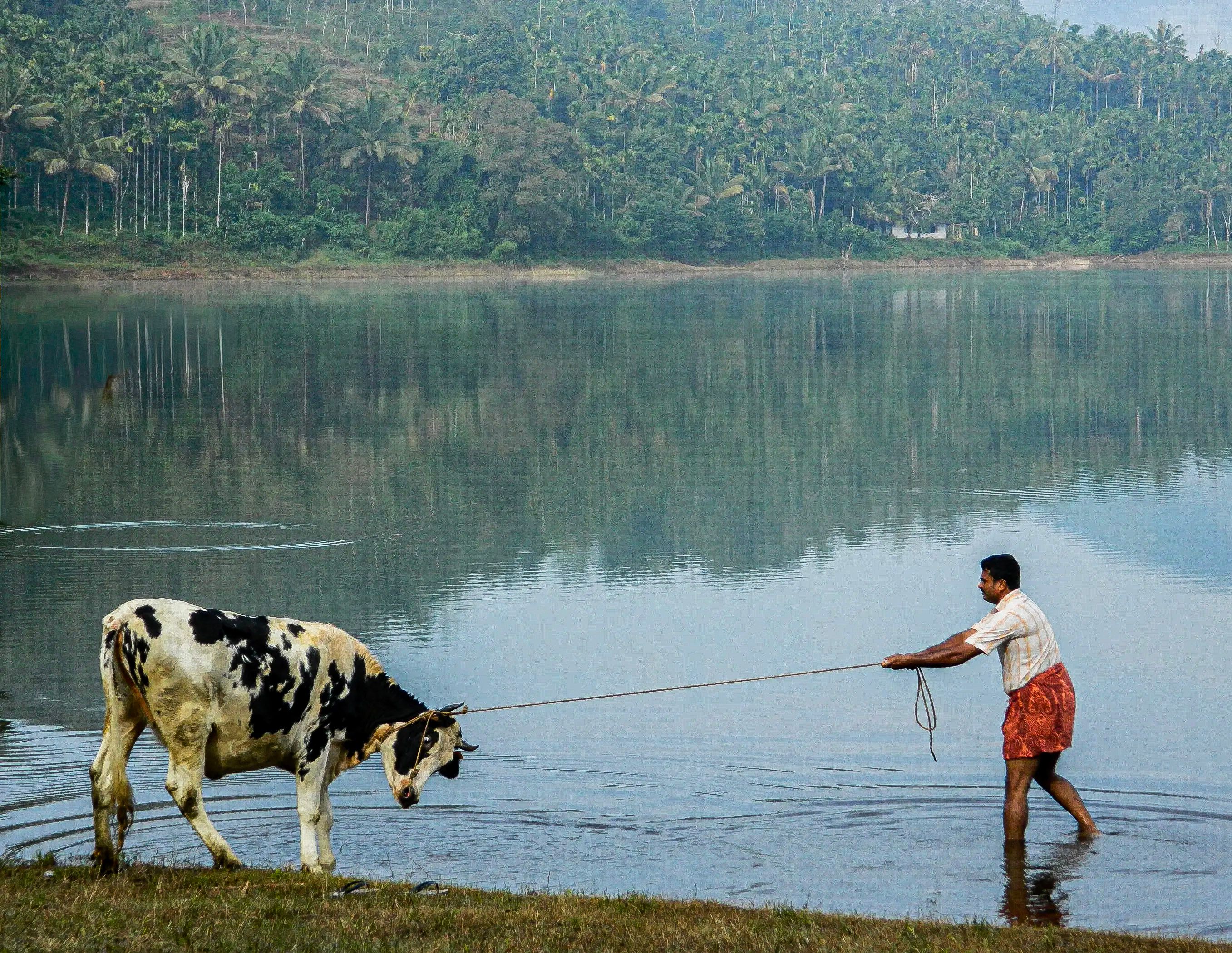 Kerala journey highlight