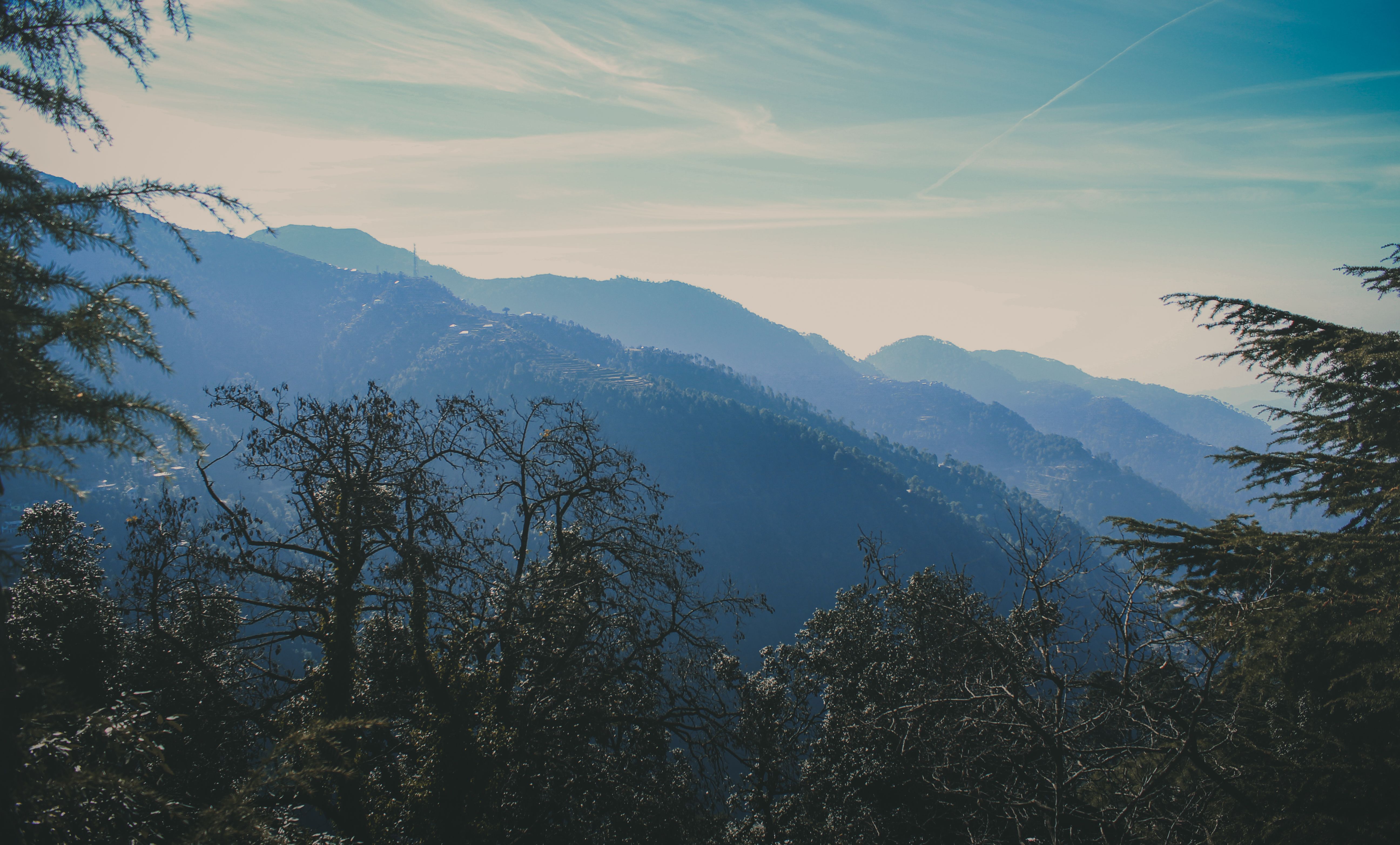 Himachal Pradesh gallery 4