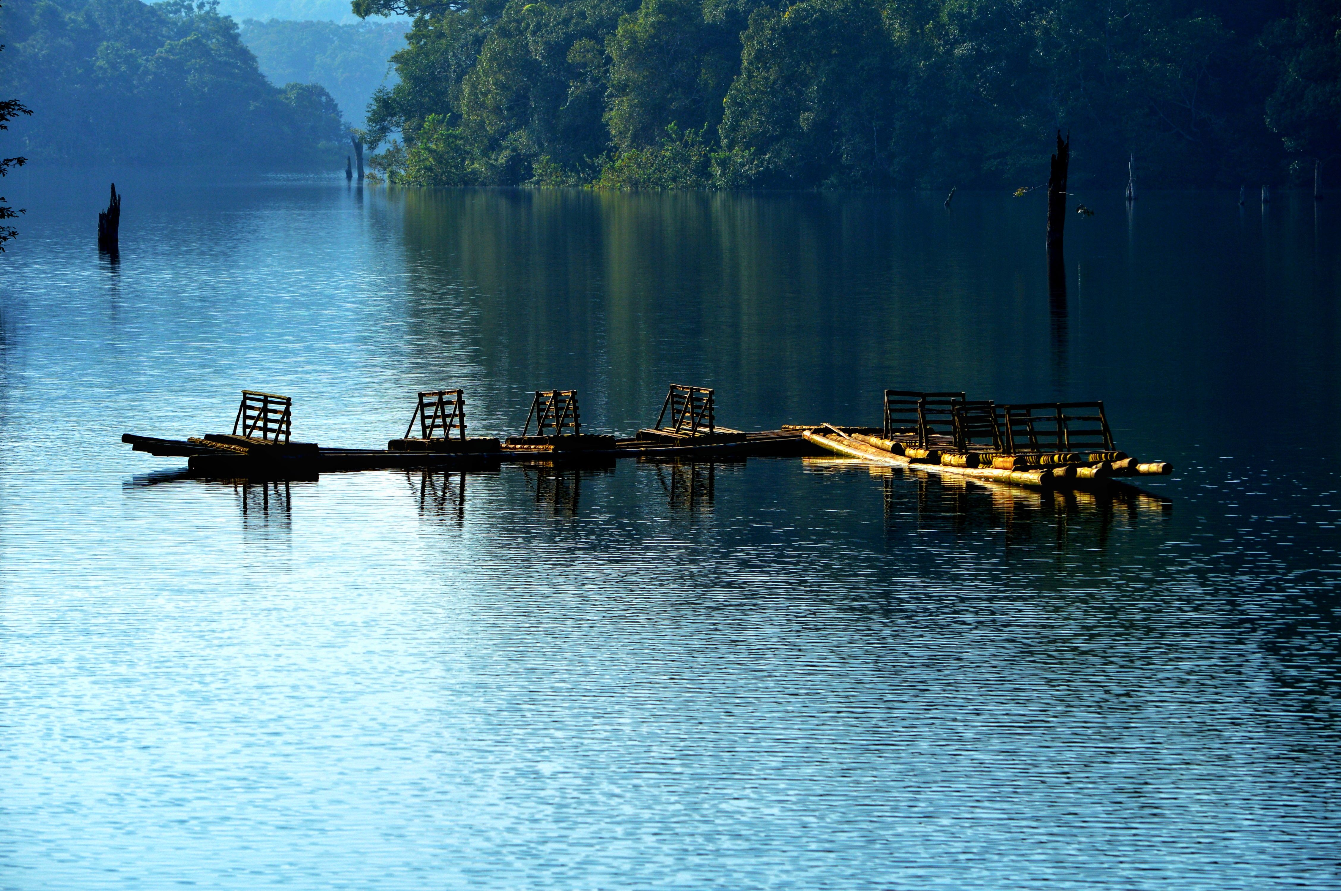 Kerala gallery 5