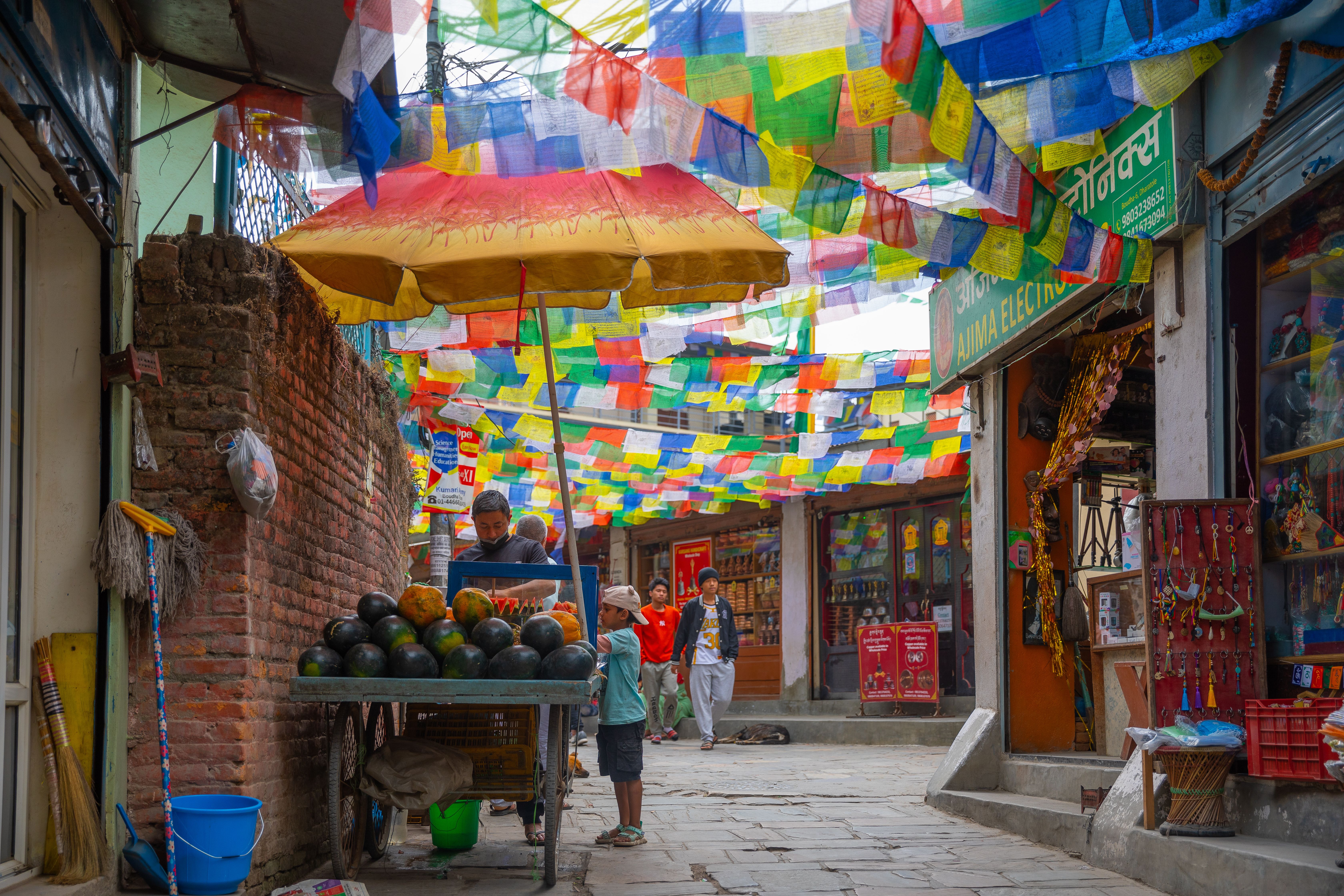 Himachal Pradesh gallery 5