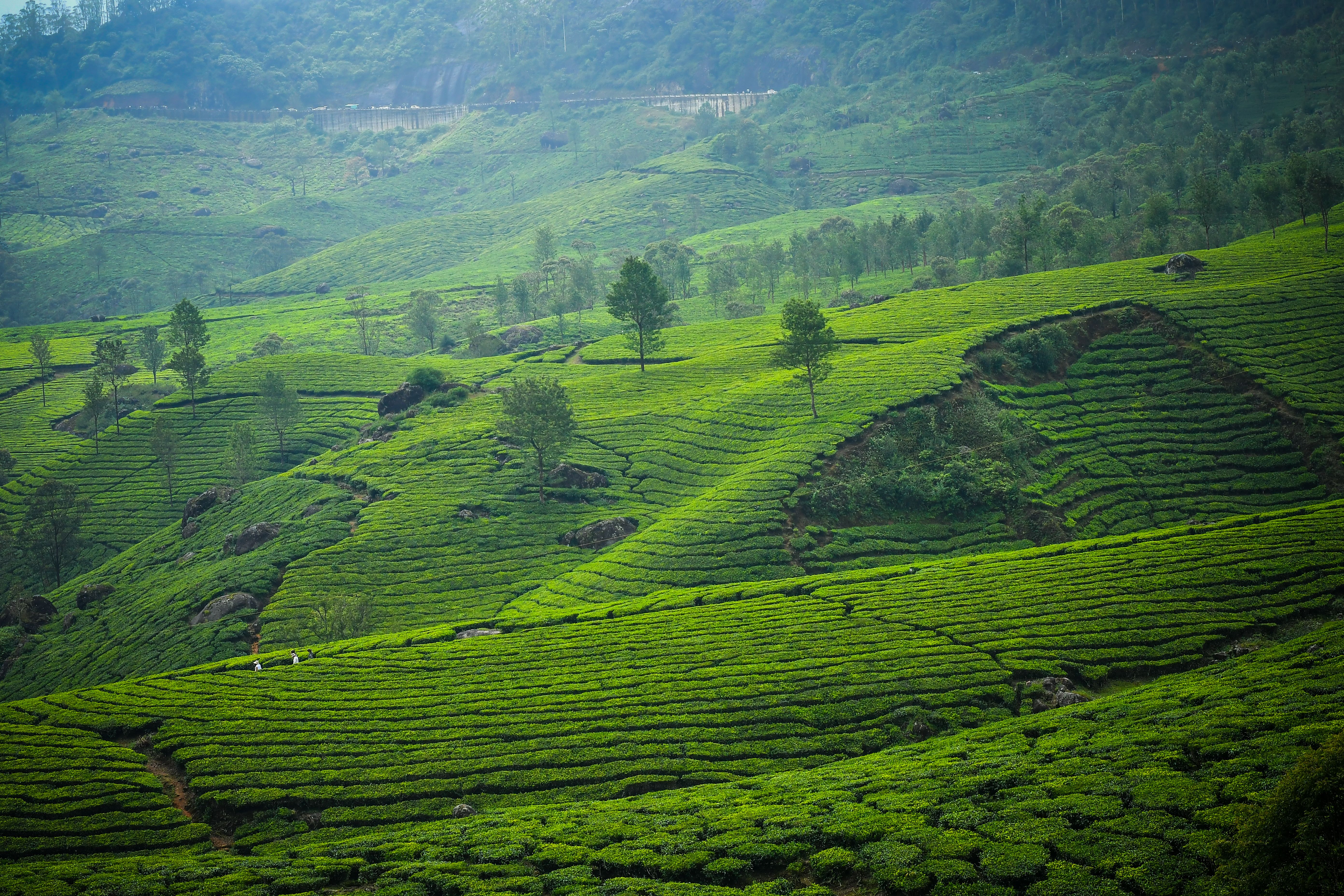 Kerala gallery 3