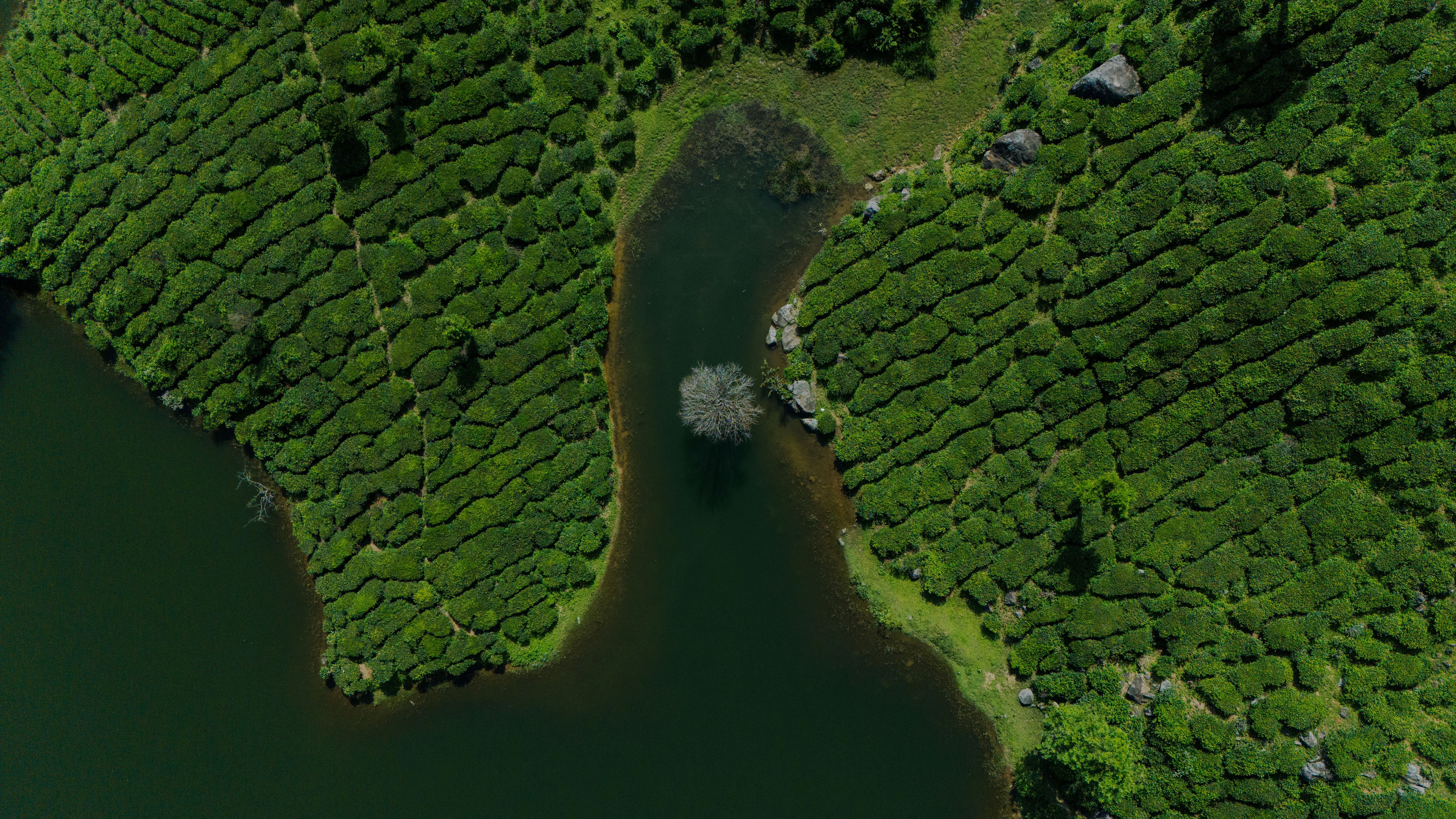 Kerala gallery 2
