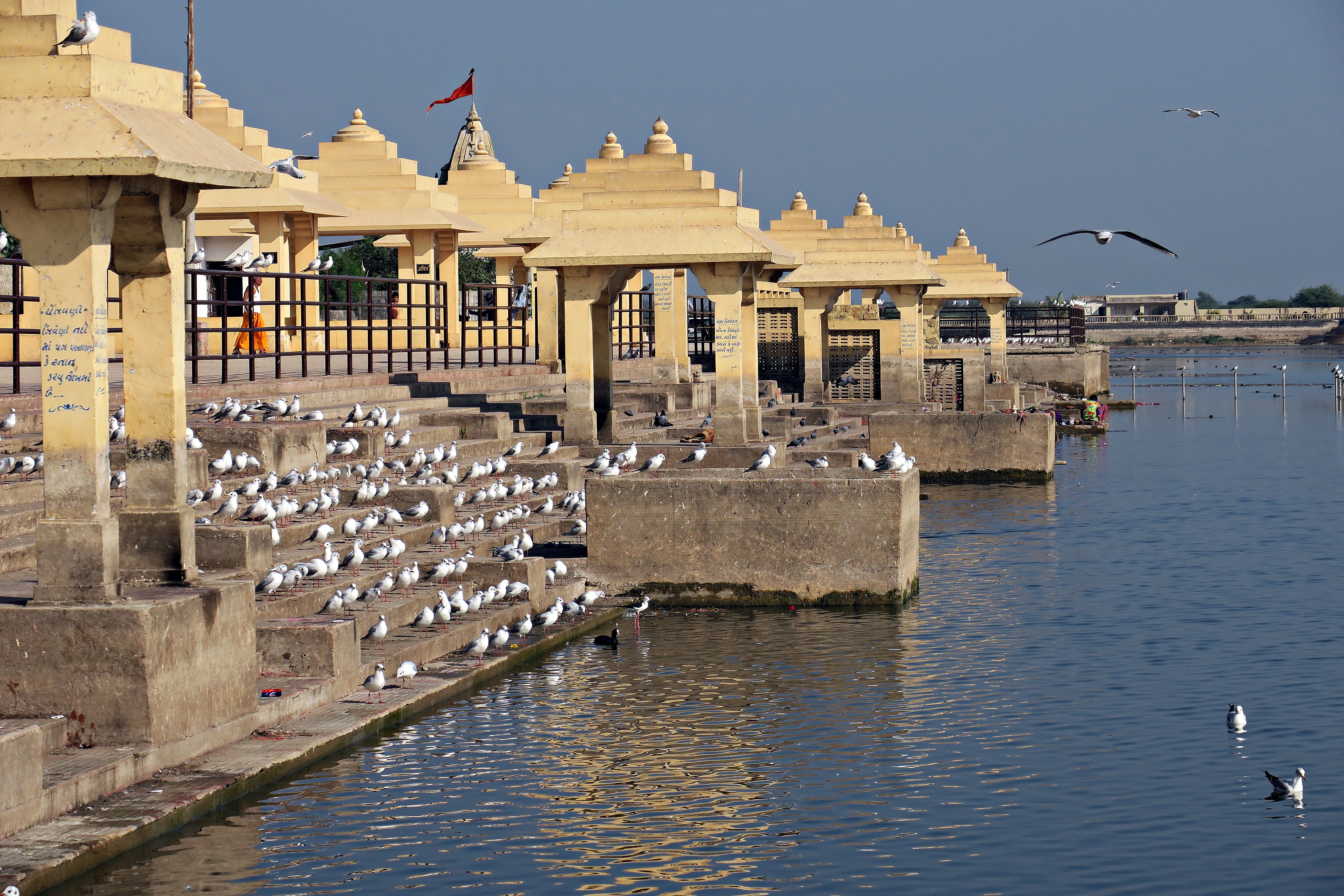 Gujarat gallery 5