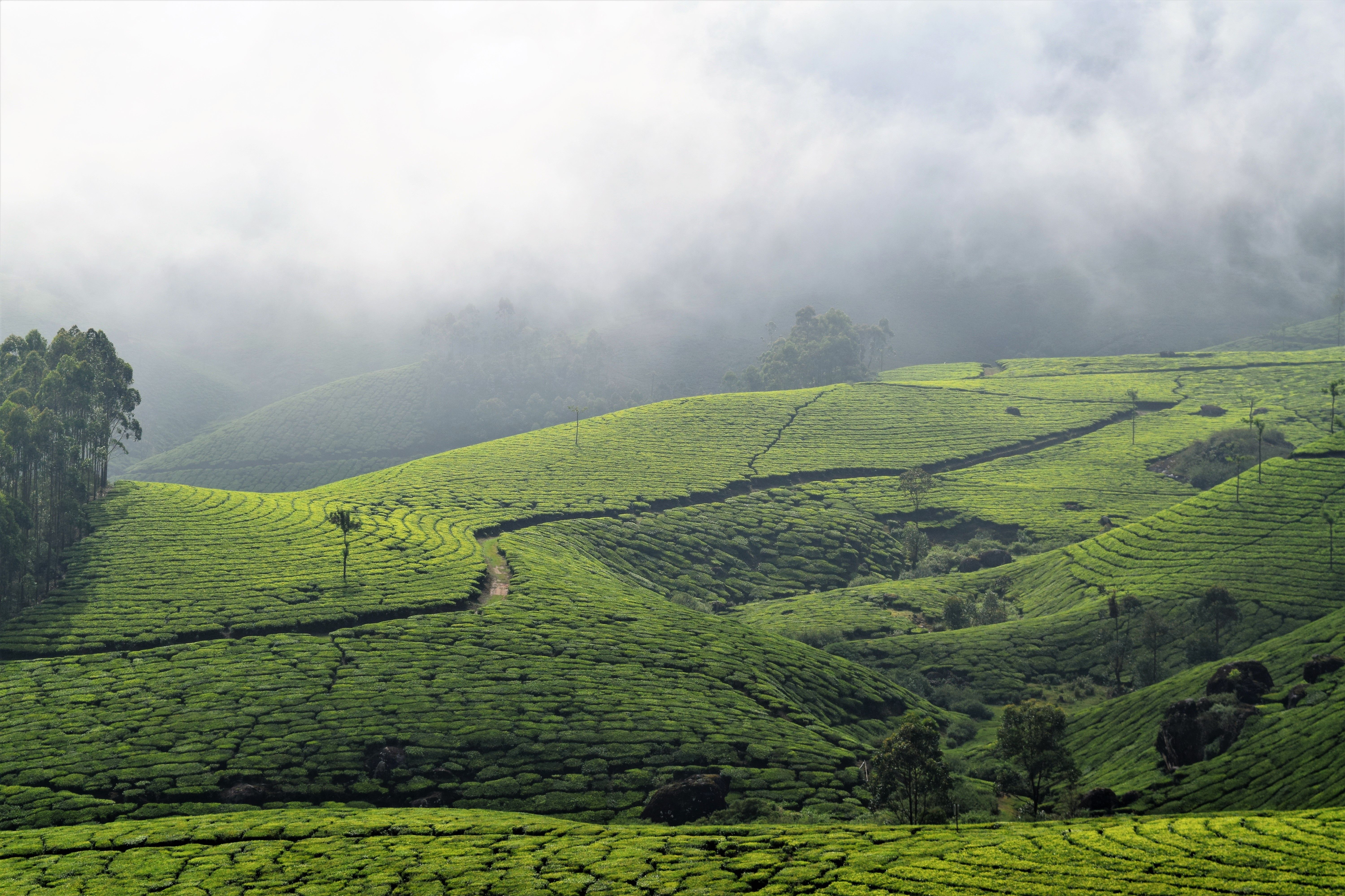 Kerala journey highlight