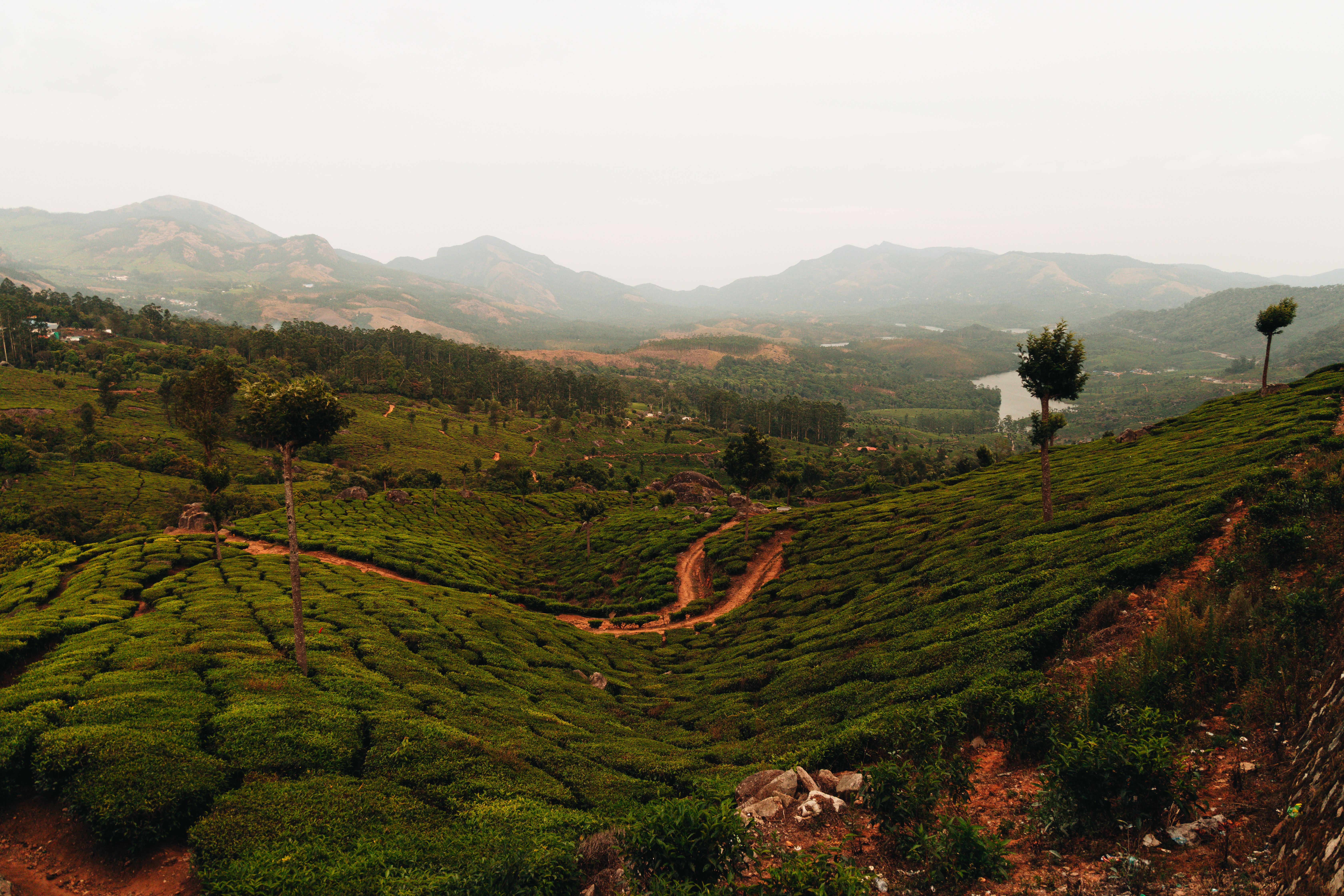 Kerala gallery 5