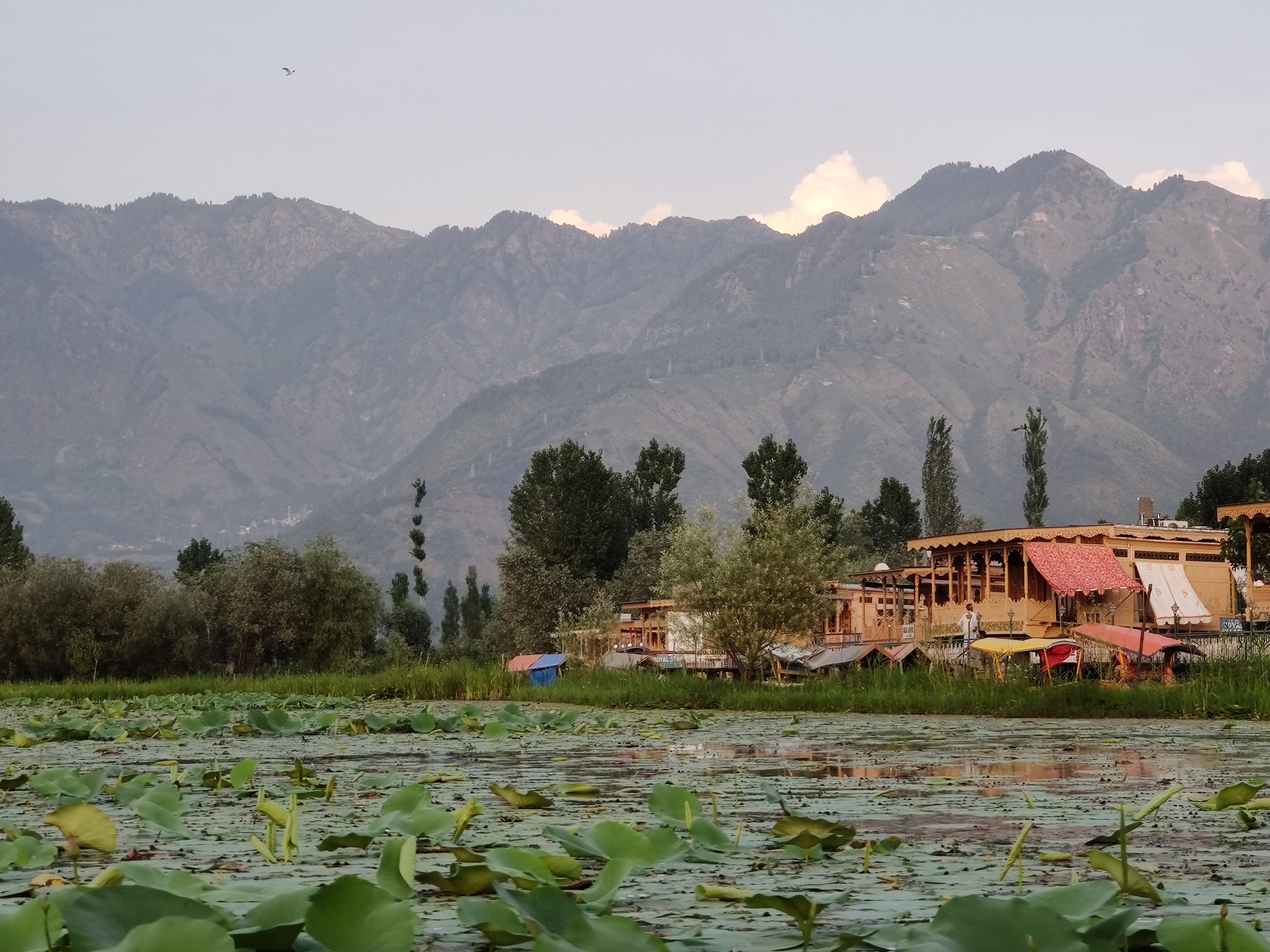 Himachal Pradesh gallery 3