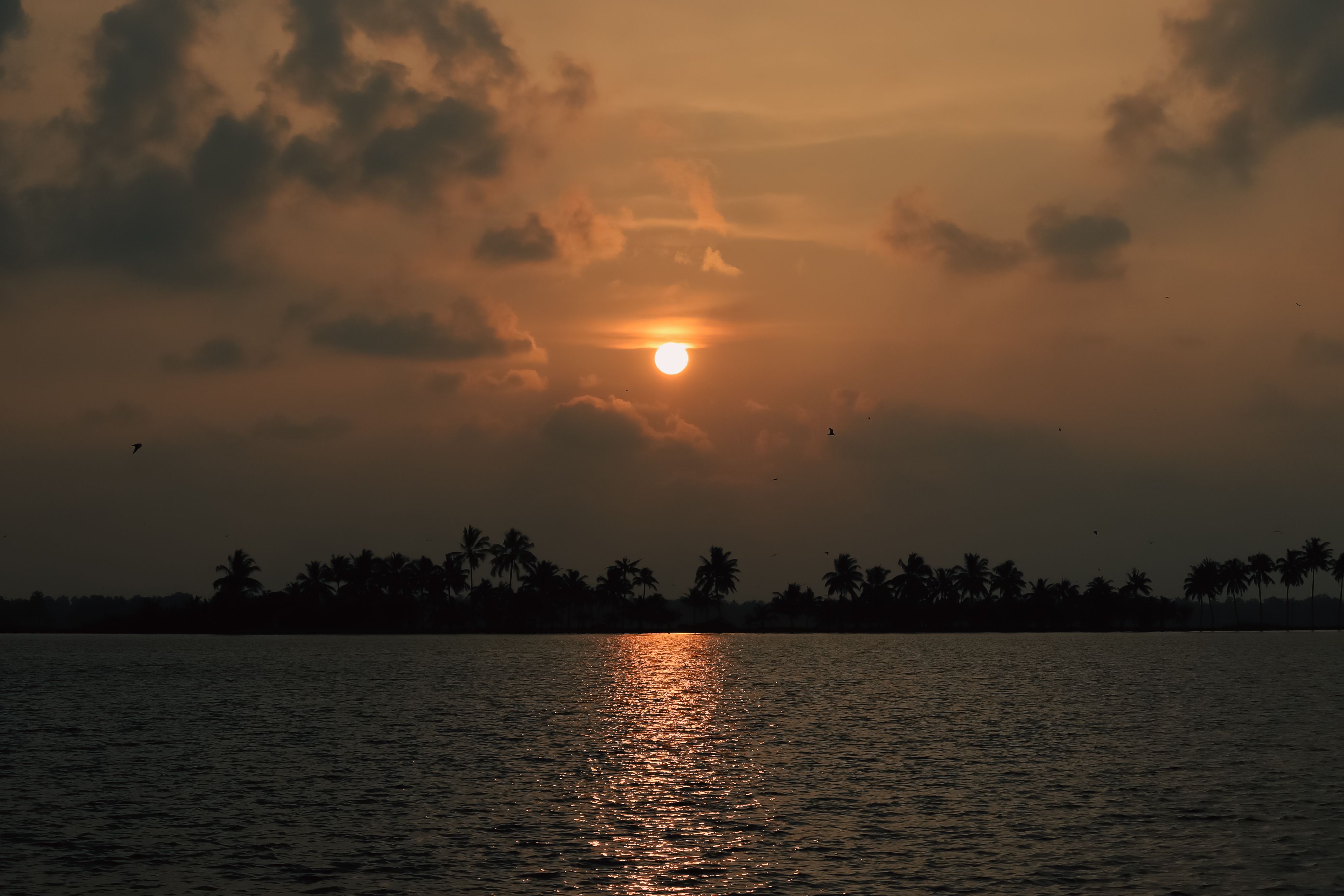 Kerala gallery 4