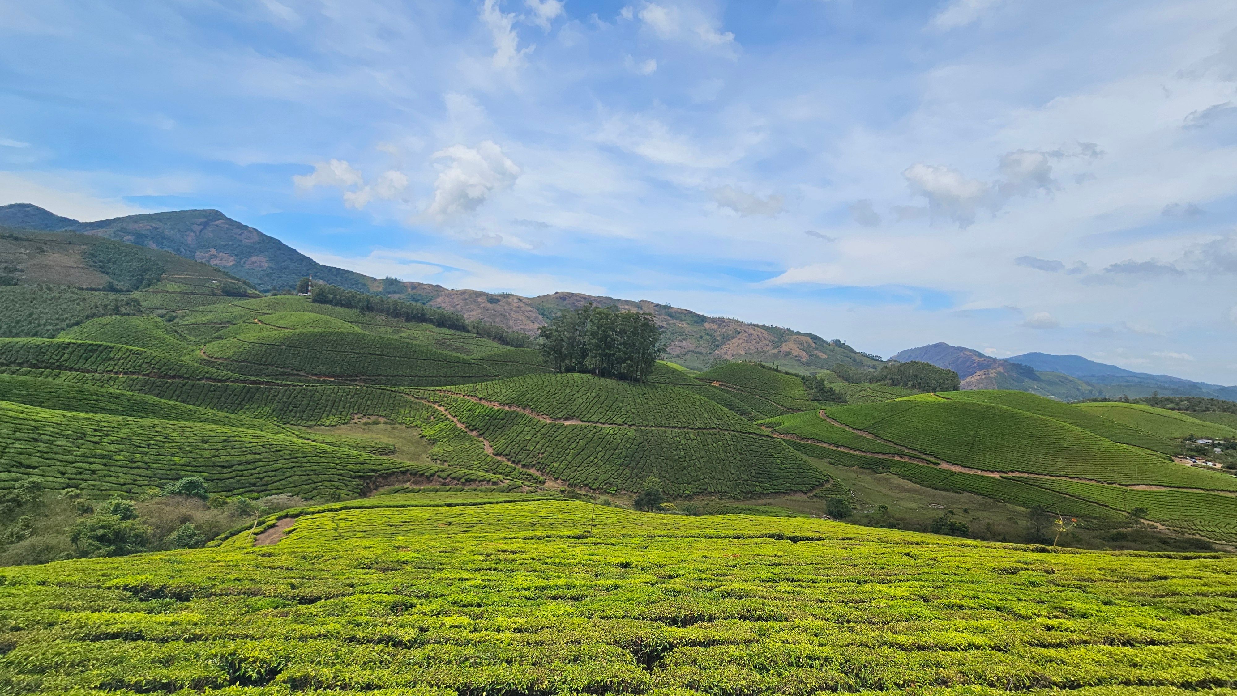 Kerala gallery 2