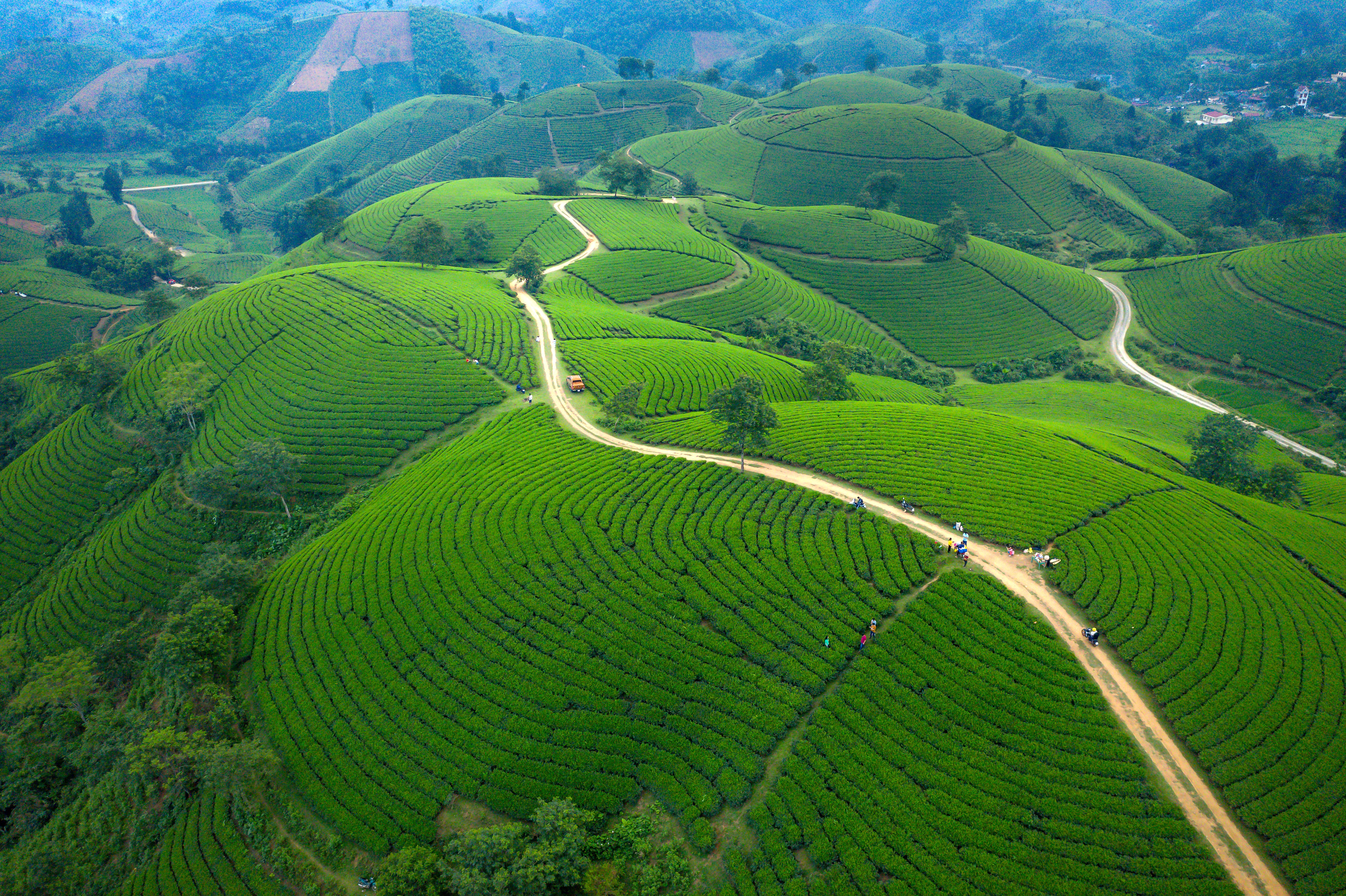 Himachal Pradesh gallery 4