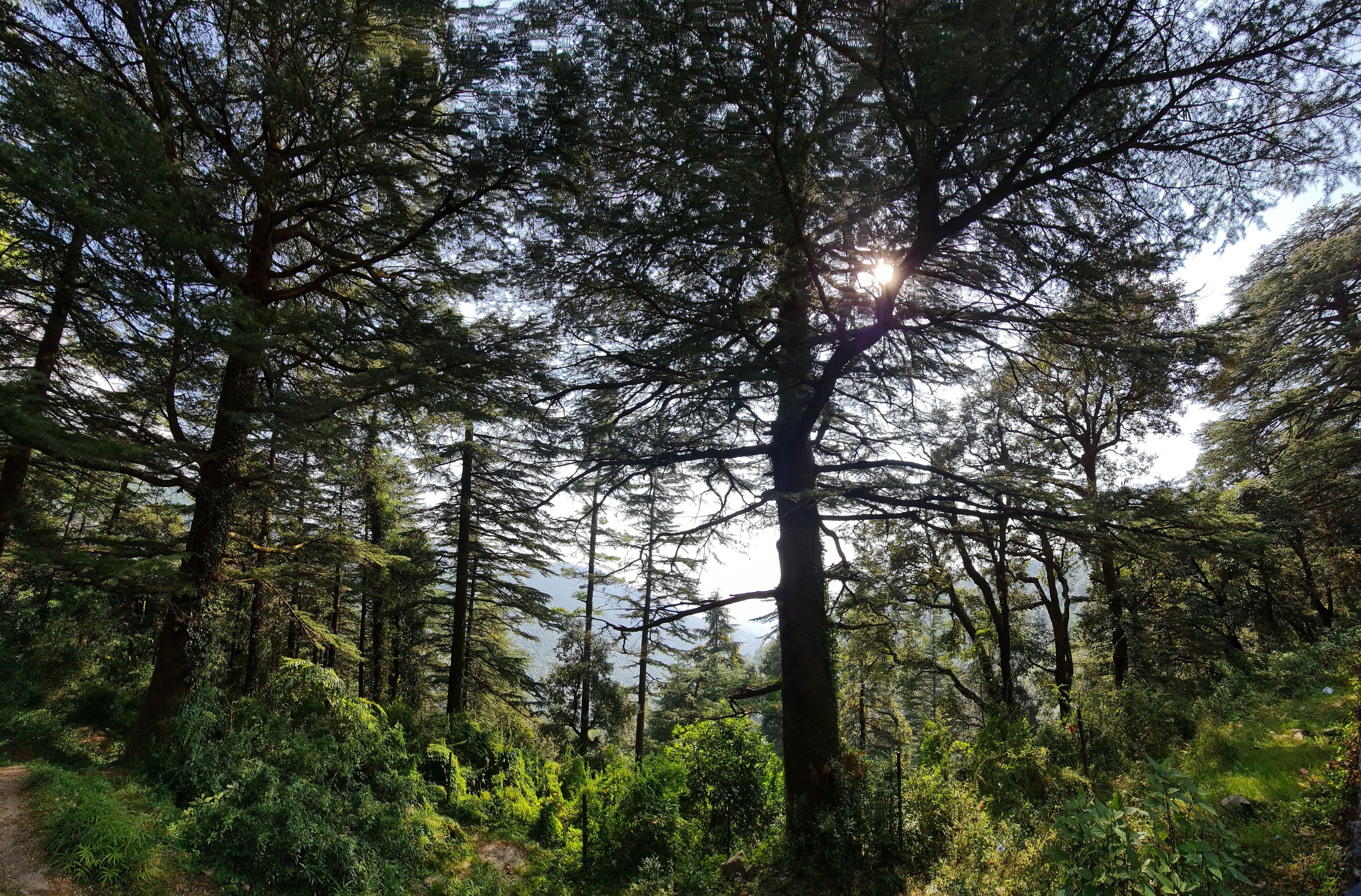 Himachal Pradesh gallery 3
