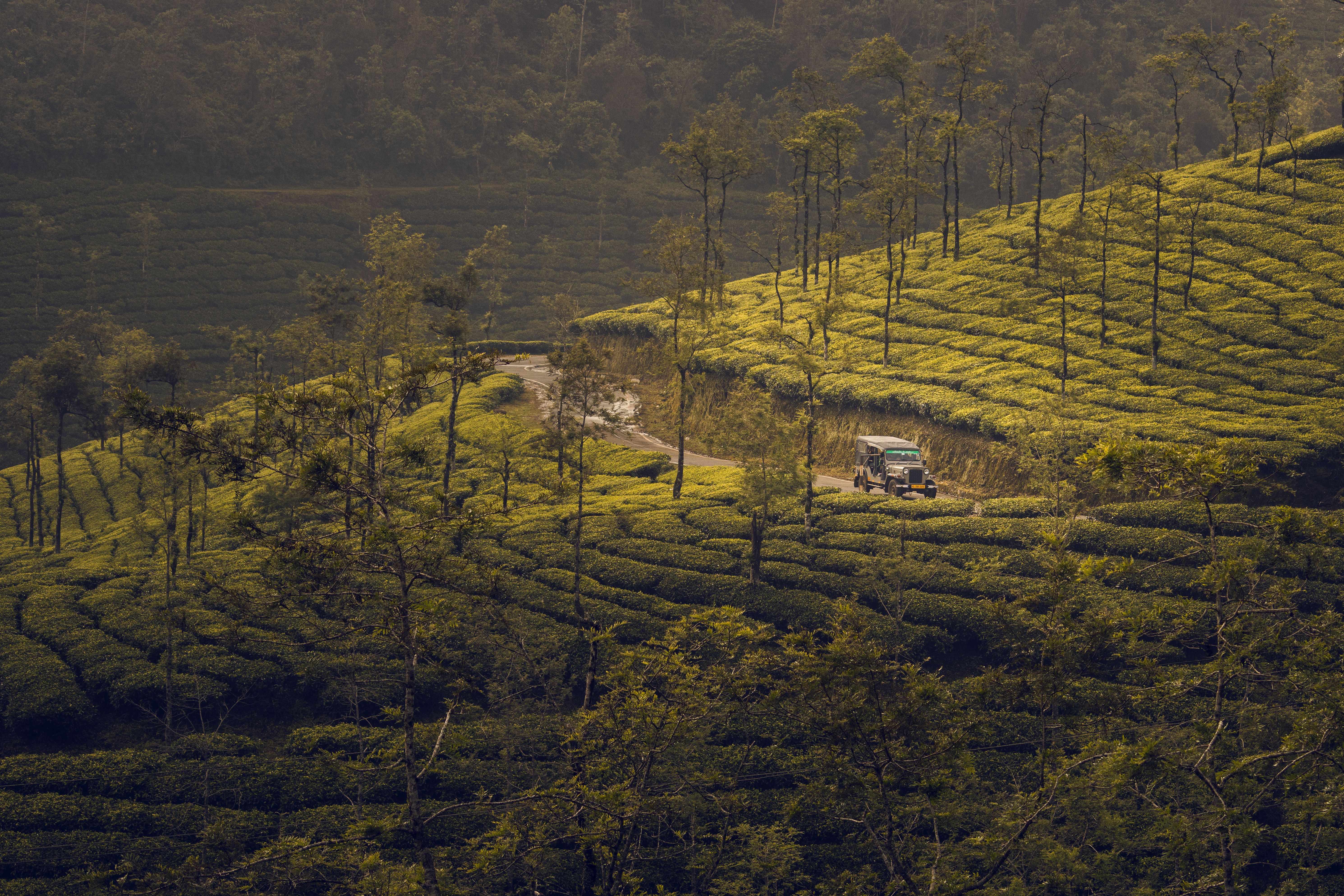 Kerala gallery 2