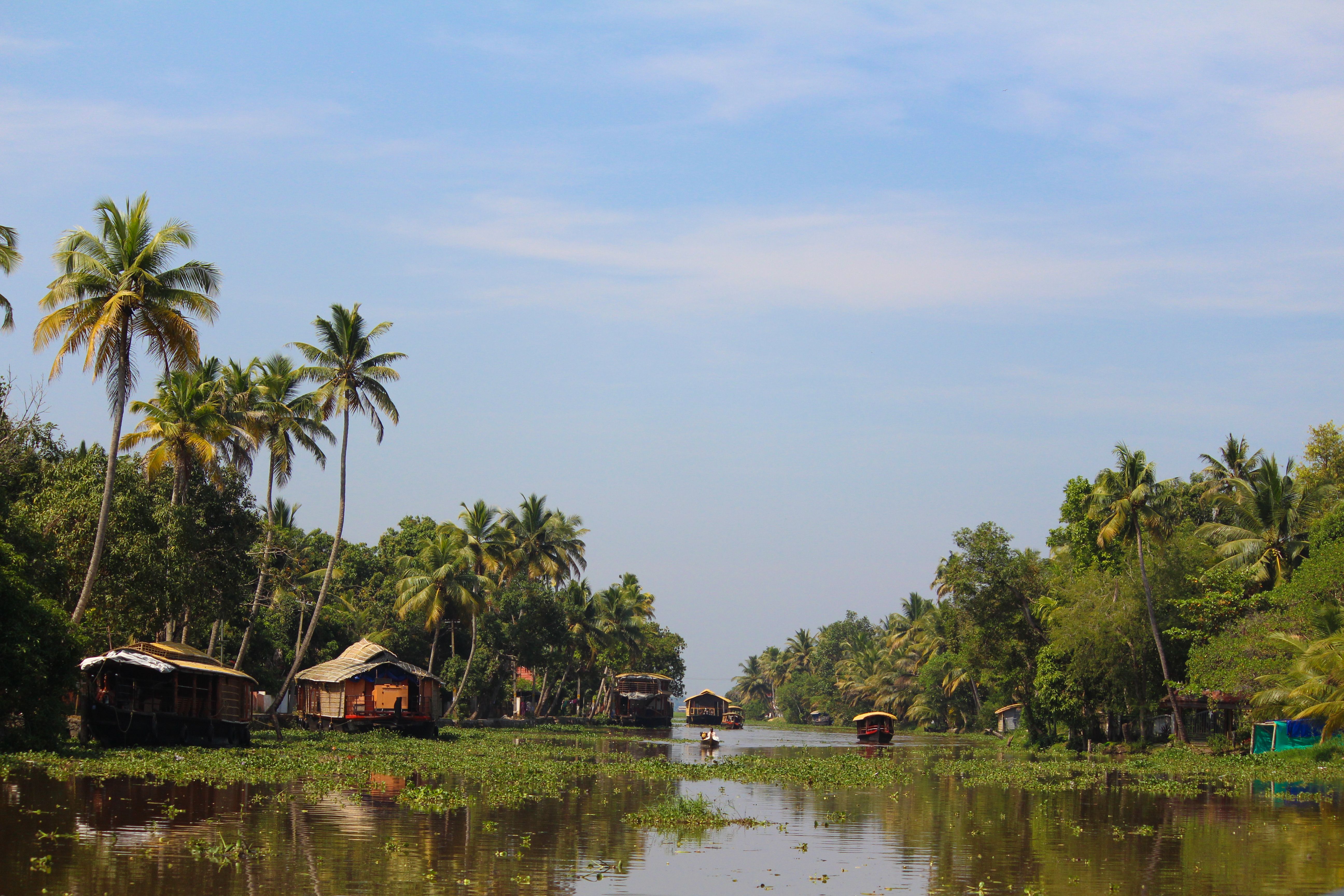 Kerala gallery 4